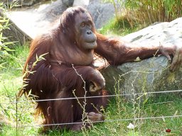 Tiergarten Schönbrunn am 23.03.2023